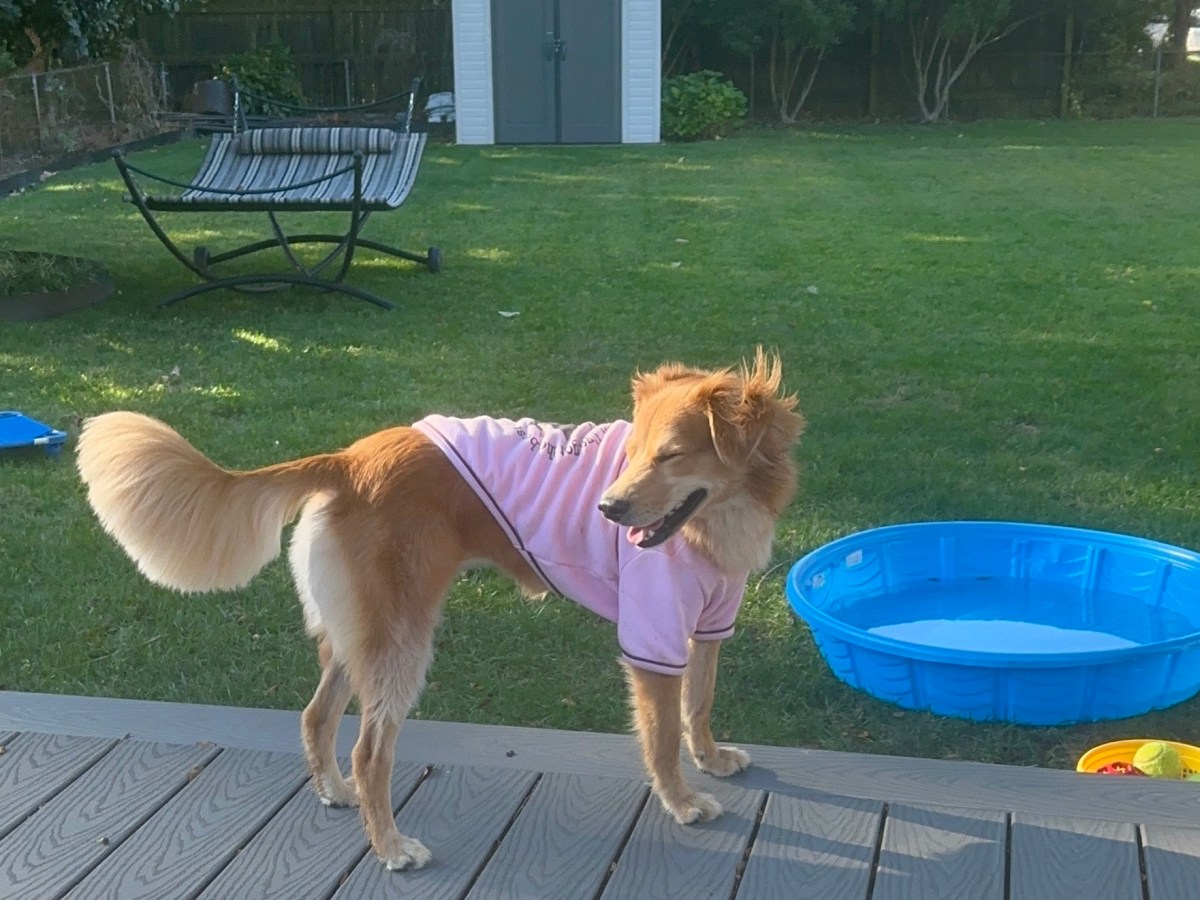 High Five & a&nbsp;Kiss